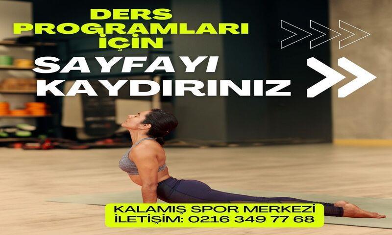 Şube Görseli